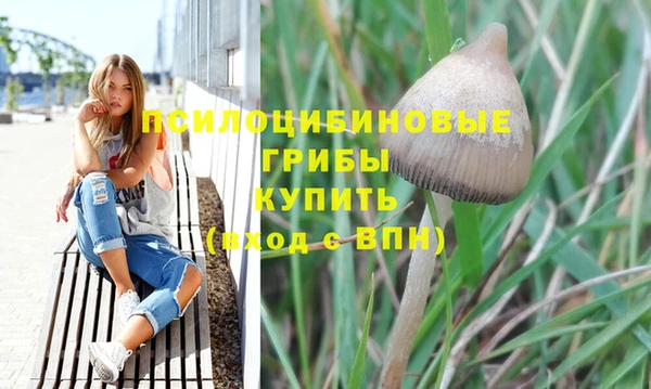 mdma Зерноград