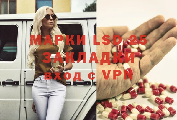 гидра Каменка
